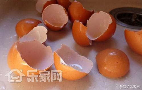 白醋去除电热水壶水垢,不产生水垢的电热水壶