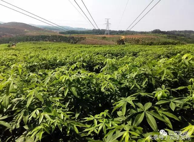 广东省云浮市云城区白石镇,云浮市白石镇变化