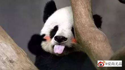 画眼线容易晕怎么办,为什么眼角画眼线总是会晕