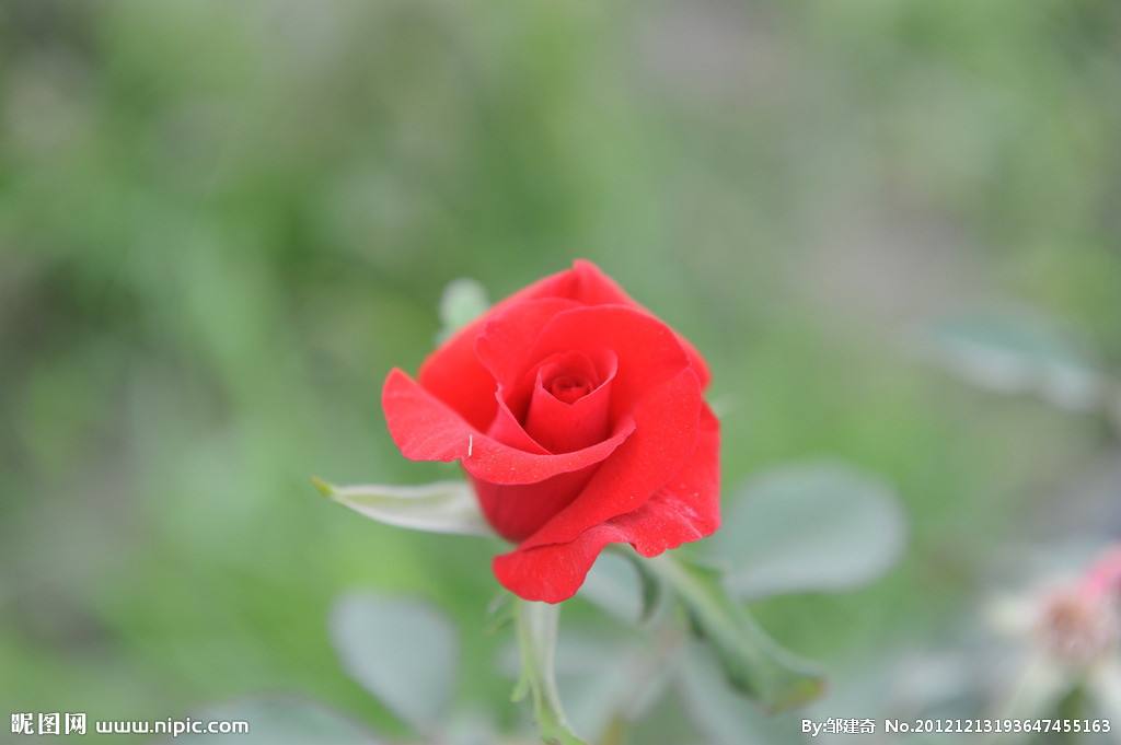 女性膀胱癌症是什么症状,女性后背痛警惕四种病是癌症