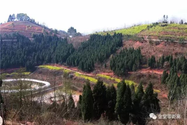 金堂官仓玉皇山门票免费吗,金堂官仓玉皇山养生谷