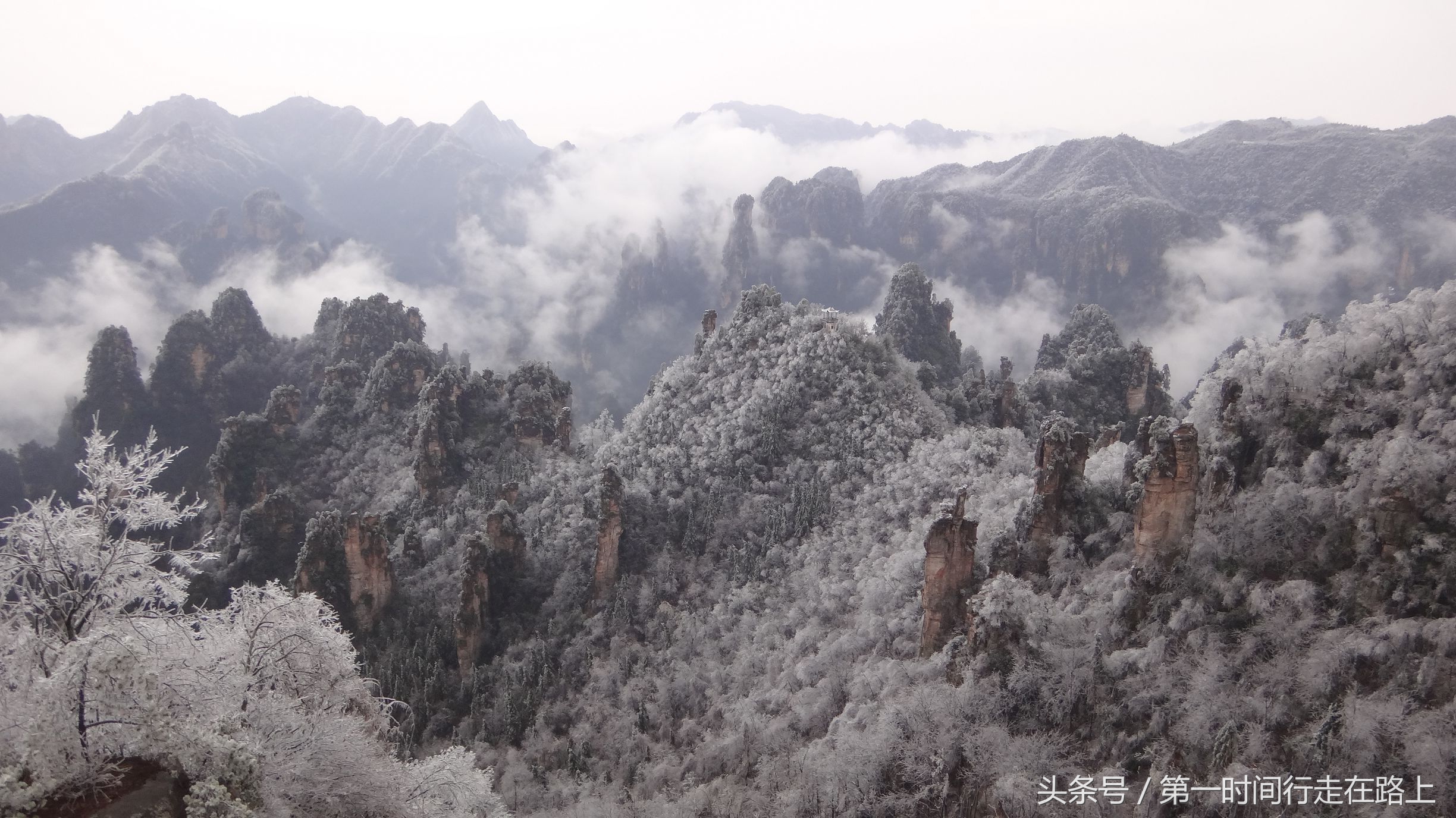 张家界浪漫之地,张家界最浪漫的婚纱