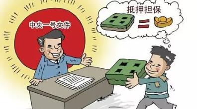 土地贷款分为几个步骤,土地贷款一亩能贷多少