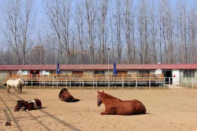 户县新西兰农场好玩吗,西安户县农场