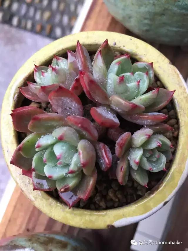 当大妈遇见帅哥,当大妈爱上邻家男孩