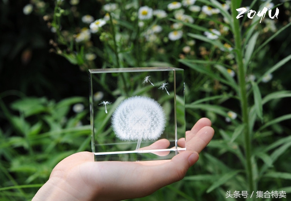 春节十大送礼佳品,十大送礼佳品