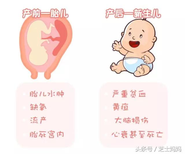 朋友圈熊猫血,熊猫血生娃需要关注什么