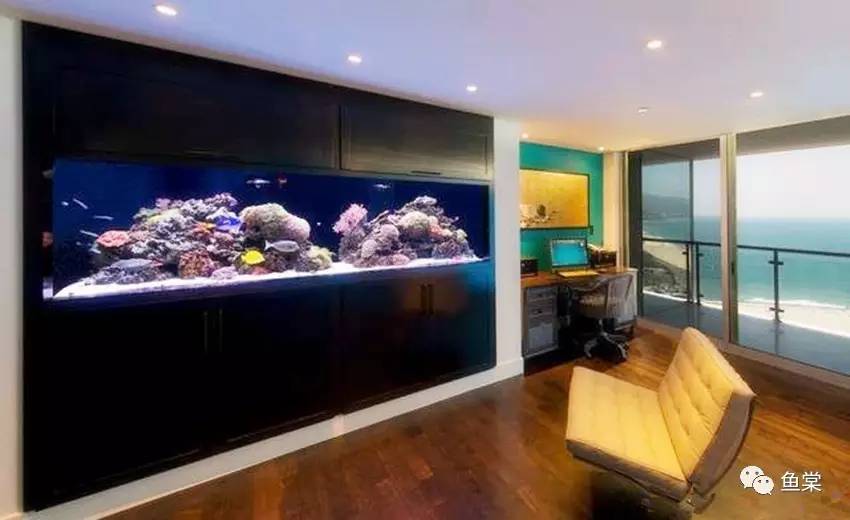 硝酸盐和亚硝酸盐的四种鉴别方法,海缸硝酸盐值多少正常