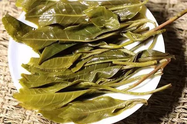 熟茶叶底如何分辨,怎么看茶的叶底