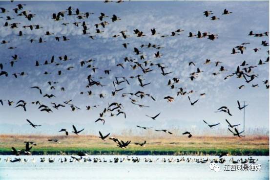 江西九江星子旅游攻略,江西旅游首选星子县