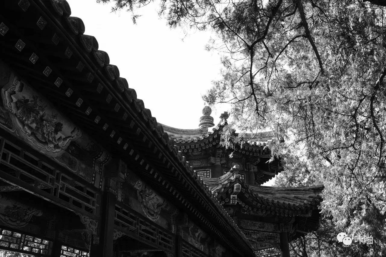 便携定焦终焉之章——FujifilmX100F点评