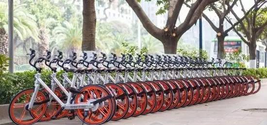 “小蓝车”闪现南宁青秀区！三色共享单车使用全攻略就在这里！