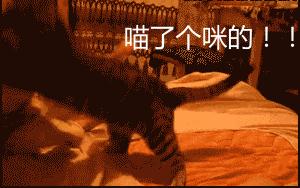 想当年，大公鸡它竟然啄了我的……！