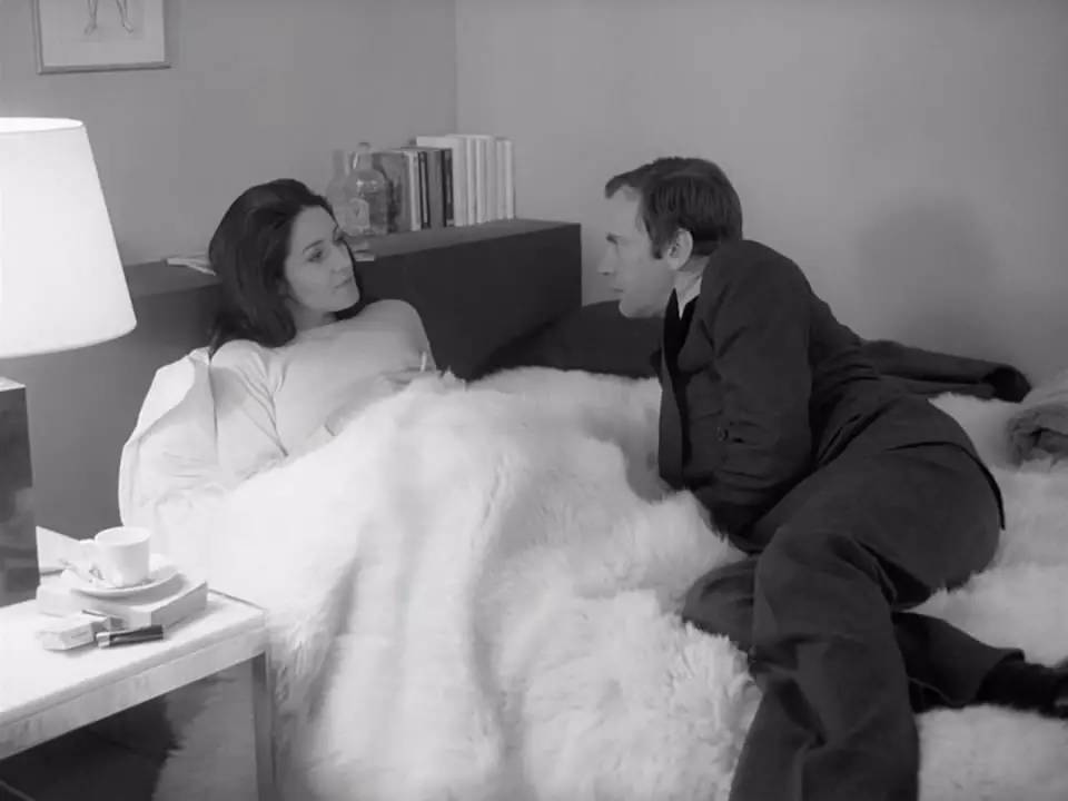 Day86命运和偶然之间的爱情