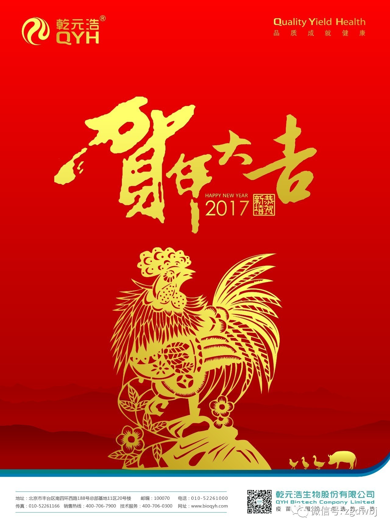 肉驴养殖行情走势,养殖肉驴有前景吗