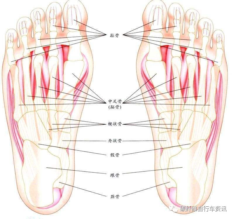 自行车尺码不合适图片,自行车车架大小对骑行的影响
