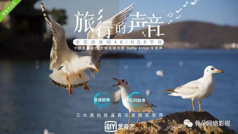 杨幂创业成功案例,杨幂创业风云