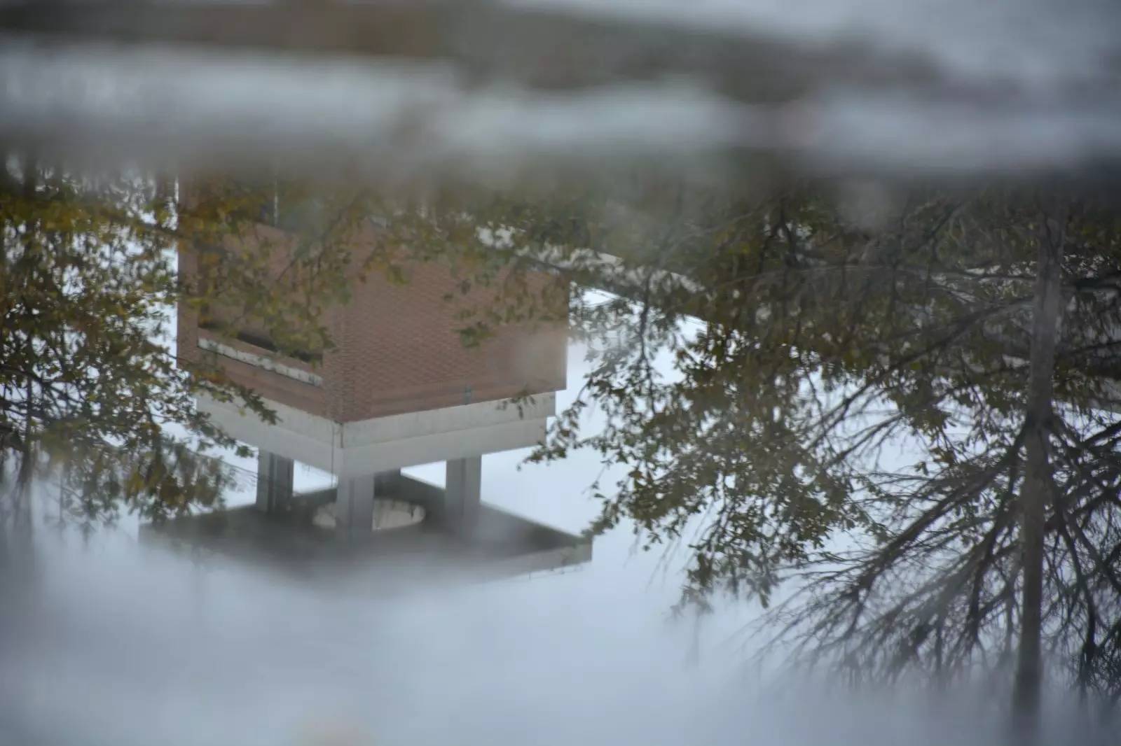 福师大版诗词大会｜长安辞赋星雨谣，仓旗才俊巧成章