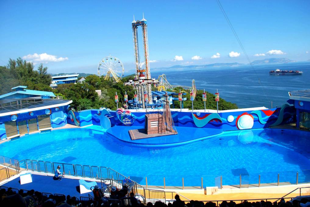 想去香港上高中,想去香港读书