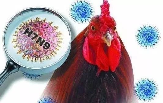 反腐巡视、篮协主席、化武物质……本周热词总结,2.19-25