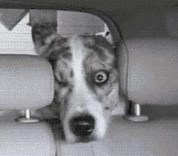 手机号暴露的秘密,一个手机号码泄露你的秘密