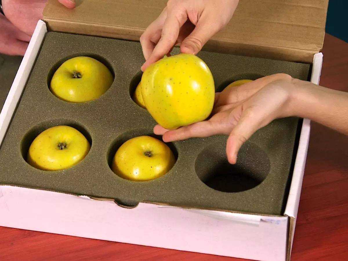 盘点十个奥斯卡提名,十大经典奥斯卡提名