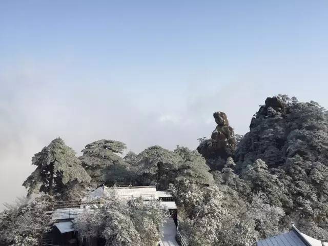 雪竟下得那么认真？居然感动了孟非踏雪来到江西，等不及了快上车