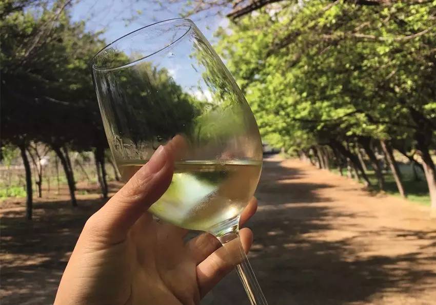 圣地亚哥不容错过的风景,圣地亚哥libertador