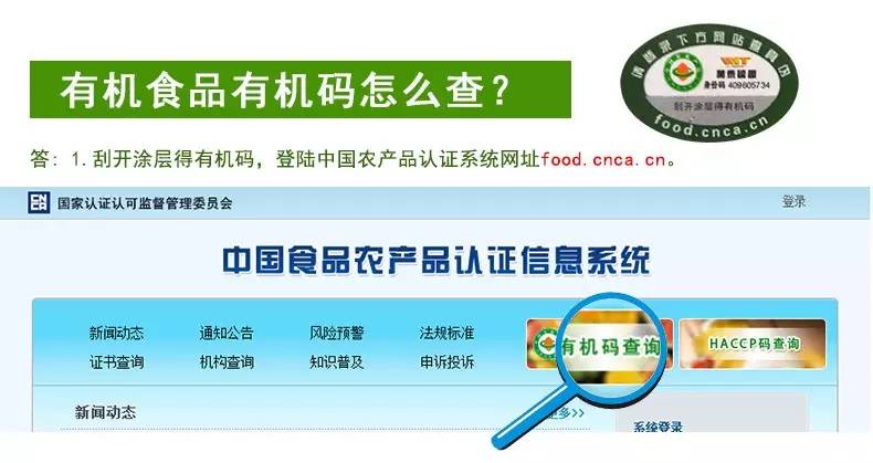 宝宝辅食第一口水果是什么,宝宝第一口辅食怎么吃才最营养