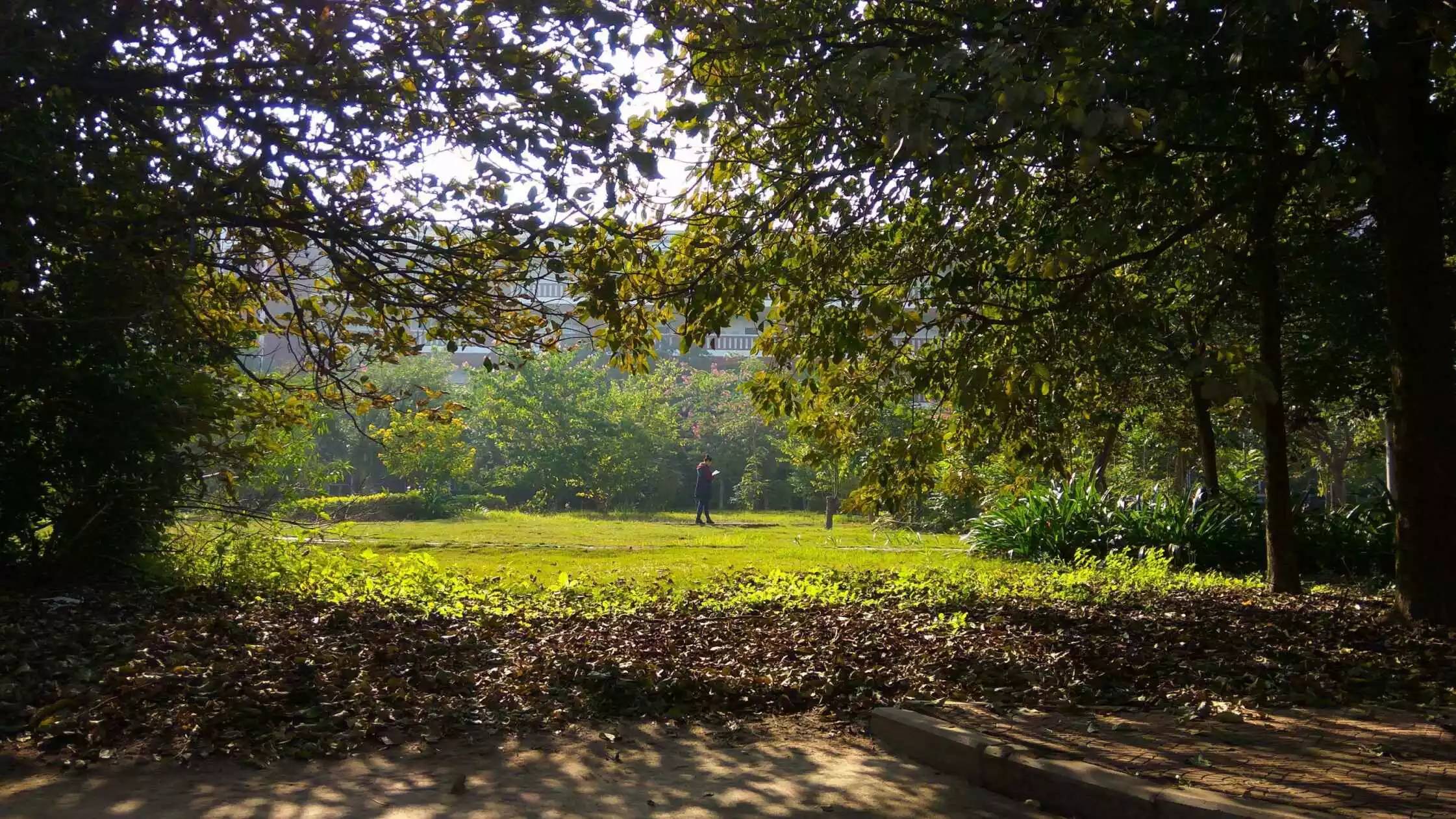 福师大版诗词大会｜长安辞赋星雨谣，仓旗才俊巧成章