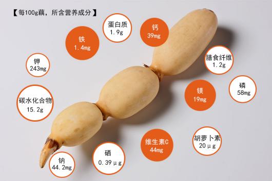 羊肉煮莲藕有营养吗,莲藕排骨汤的营养