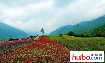 重庆最穷和最富的2个县,重庆最穷的和最富的两个县