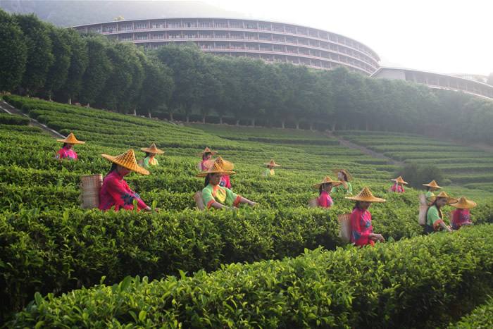 梅州有什么特别的地方,梅州哪个县比较好