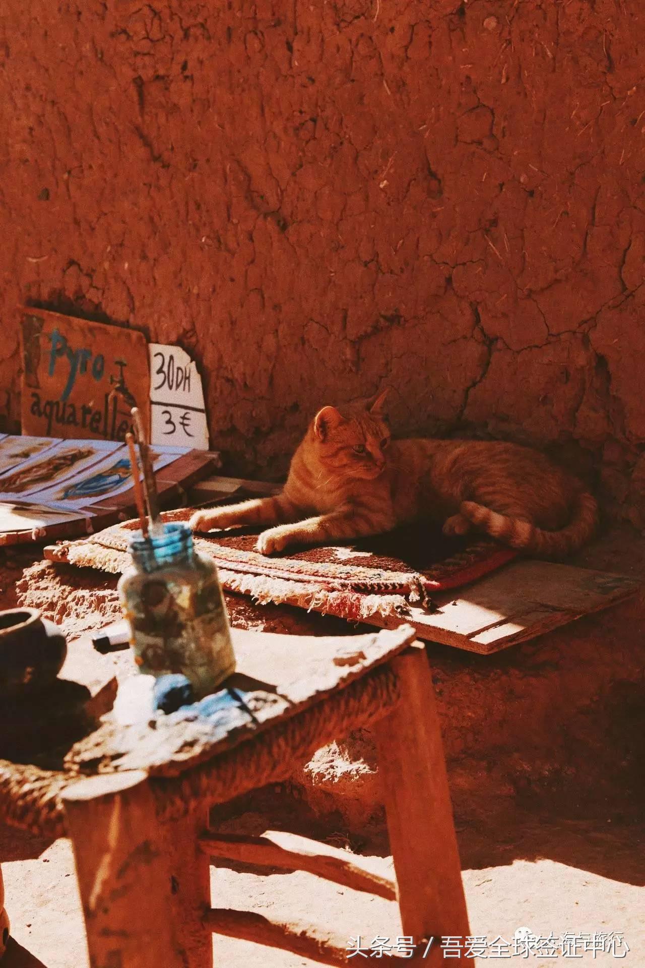 摩洛哥自由行全攻略 (最全的摩洛哥攻略)