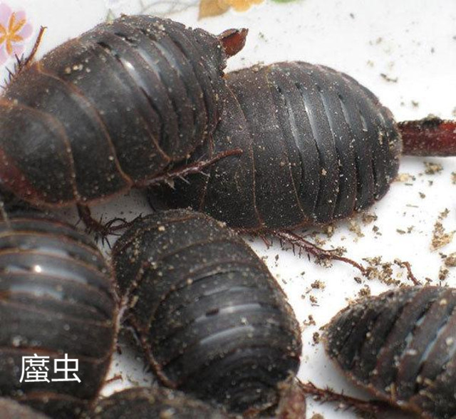 治疗血瘀的经典名方,缓解血瘀经典名方