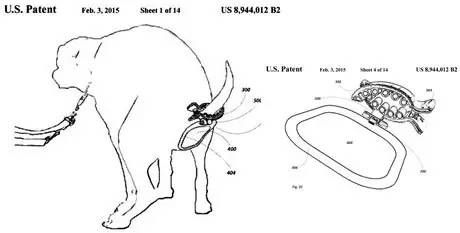 小区很多野狗,小区到处都是狗粑粑谁来管