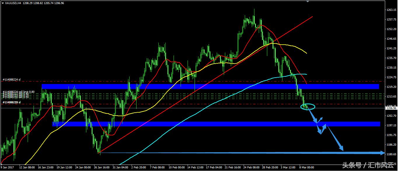 今日交易策略精彩集锦,今日交易策略解析