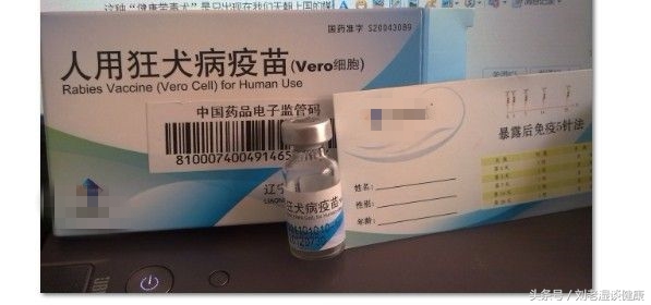 狗狗打了狂犬疫苗关注事项和禁忌,打完狂犬疫苗关注事项能不能吸烟
