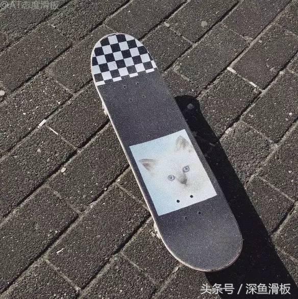 滑板知识大科普,滑板超级简单的知识