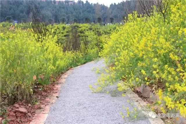 金堂官仓玉皇山门票免费吗,金堂官仓玉皇山养生谷