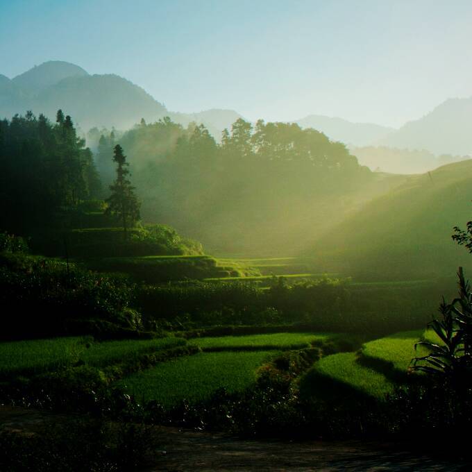 茶马古道丽水金沙,盐茶古道日照