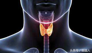 桥本甲亢真的那么可怕吗,桥本甲亢禁忌食物一览表