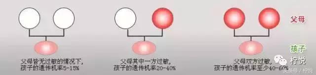 舒淇经常过敏,舒淇过敏好了吗