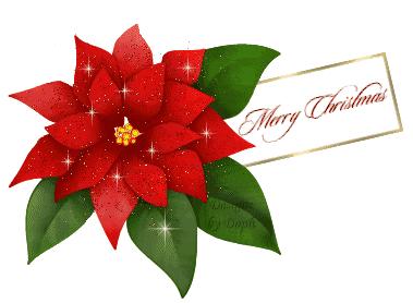 梅岭中学本部和京华梅岭哪个好,邗江实验中学和梅岭中学哪个好