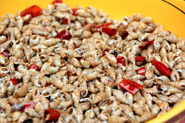 去青岛吃海星,青岛旅游吃海鲜自述