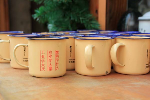 去青岛吃海星,青岛旅游吃海鲜自述