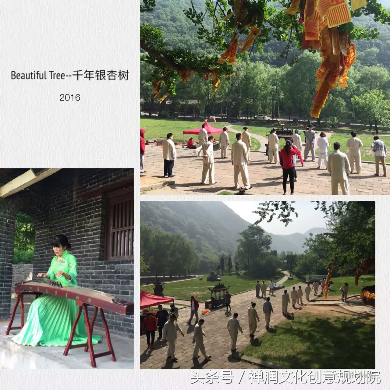 禅修和修心有什么区别,辟谷禅修冥想班