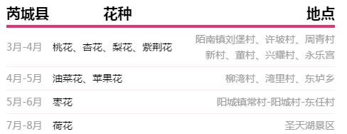 运城美食野菜,运城田间美食推荐