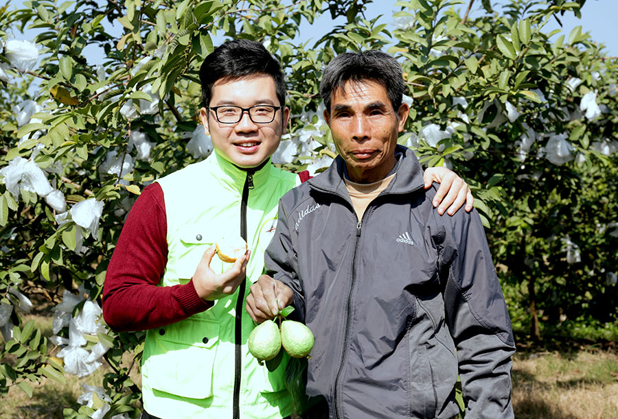 广西哪里有珍珠番石榴,广西北流珍珠石榴