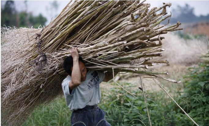 照顾老人多年真实故事,照顾老人的故事